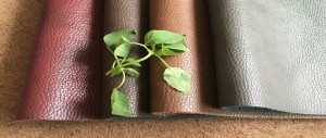 furniture sofa product leathaer