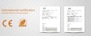 SGS test report